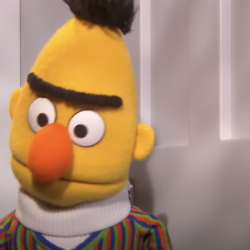 Bert probeert boodschappen te doen